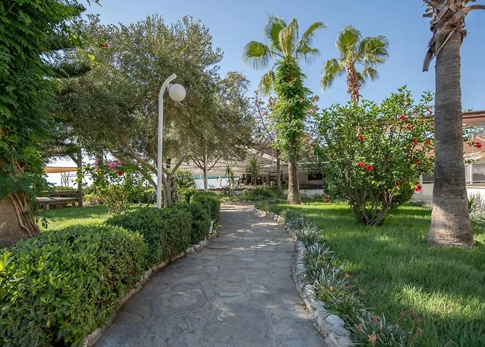 Club Marakesh فندق